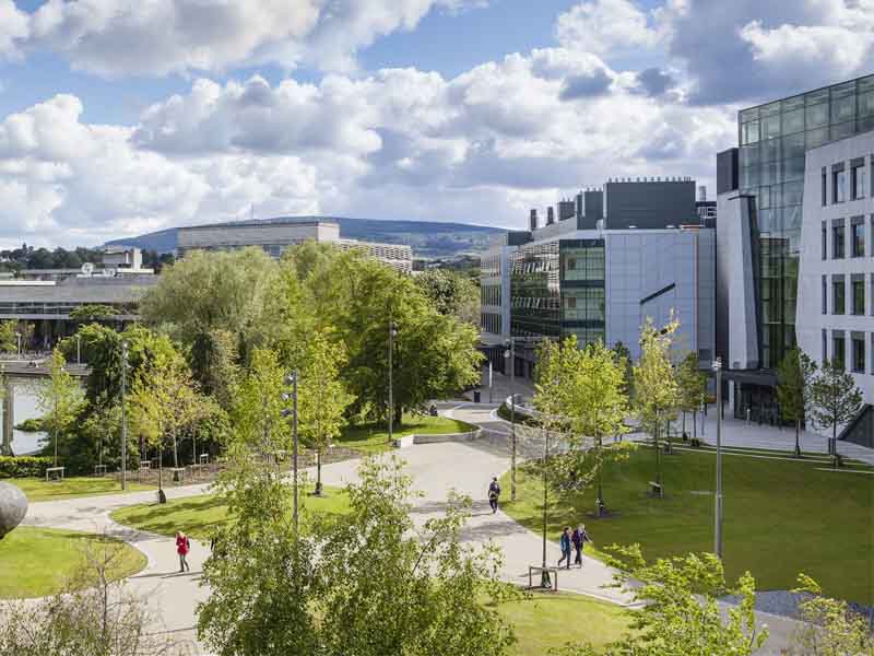 Стипендии на бакалавриат и магистратуру в UCD (Ирландия) на осенний набор 2022 года